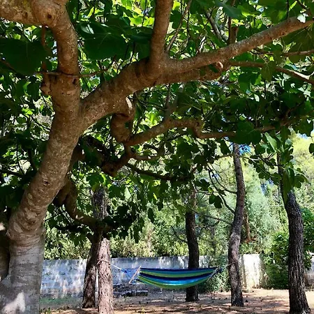 Holiday home Salento - Diso